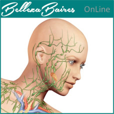 Curso Online de Drenaje Linfático Facial Integrado con Reflexología de la Cara