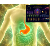 Curso Online de Mesa Radiónica para el Equilibrio Digestivo y la Sanación Estomacal Curso Online de Mesa Radiónica para el Equilibrio Digestivo y la Sanación Estomacal