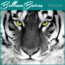 Curso Online de Empoderamiento del Espíritu del Tigre Blanco