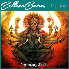 Sintonización Agrimony Shakti Online: Nivel 1, 2 y Maestría para la Liberación Energética y el Bienestar Interior