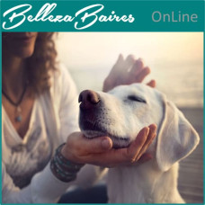 Reiki Animal Ascensión: Nivel 1 y Maestría Online (Con Requisitos)