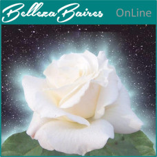 Sanación Floral con Rosas: Curso Online de Energía Curativa