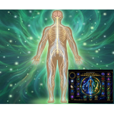Mesa Radiónica para la Regeneración Nerviosa: Sanación Cuántica de la Neuropatía Periférica