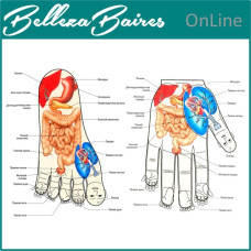 Curso Online de Su Jok: Terapia Coreana de Sanación Energética en tus Manos