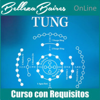 Master en Auriculoterapia Tung Online: Sanación Energética Avanzada