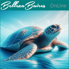 Curso Online de Fortalecimiento Energético de la Tortuga