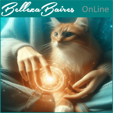Curso Online de Reiki Felino Kattuz: Despierta el Sanador Interior de tu Gato